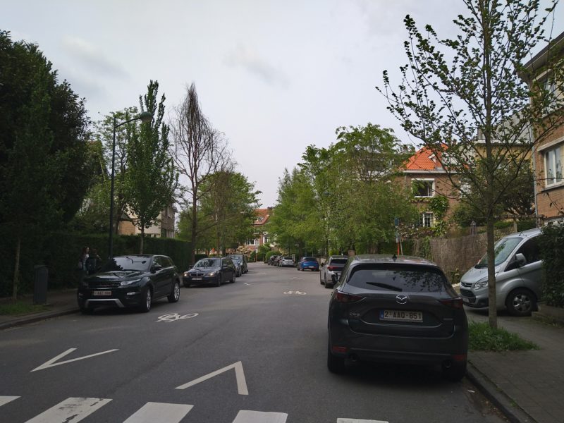 Watermael-Boitsfort is one of the wealthiest communes (income per inhabitant) in the Brussels Capital Region, and many streets are characterised by lower density, fewer businesses in relation to housing, and considerable plant cover and/or green infrastructure. The plant cover rate is over 80%.