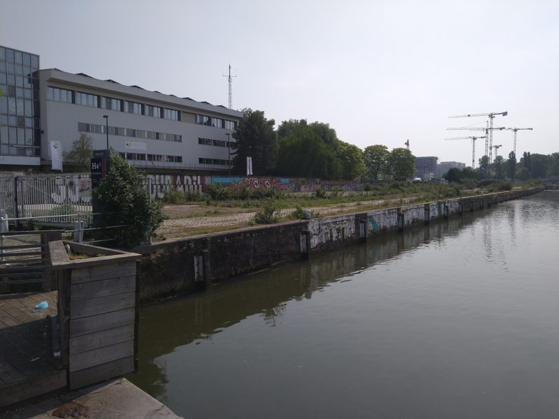 The dock is fenced off and appears to no longer serve its original function, as the unchecked growth and lack of additional infrastructure suggest.